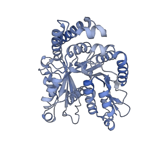 40220_8glv_M9_v1-2
96-nm repeat unit of doublet microtubules from Chlamydomonas reinhardtii flagella