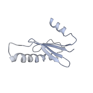 40220_8glv_MA_v1-2
96-nm repeat unit of doublet microtubules from Chlamydomonas reinhardtii flagella