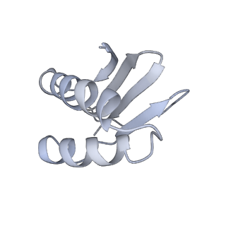40220_8glv_MC_v1-2
96-nm repeat unit of doublet microtubules from Chlamydomonas reinhardtii flagella