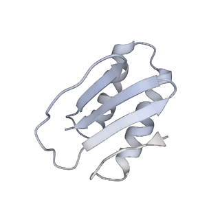 40220_8glv_MD_v1-2
96-nm repeat unit of doublet microtubules from Chlamydomonas reinhardtii flagella