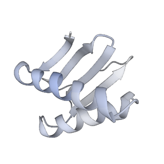 40220_8glv_ME_v1-2
96-nm repeat unit of doublet microtubules from Chlamydomonas reinhardtii flagella