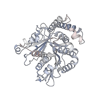 40220_8glv_MF_v1-2
96-nm repeat unit of doublet microtubules from Chlamydomonas reinhardtii flagella