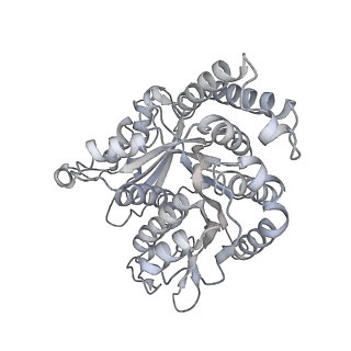 40220_8glv_MG_v1-2
96-nm repeat unit of doublet microtubules from Chlamydomonas reinhardtii flagella