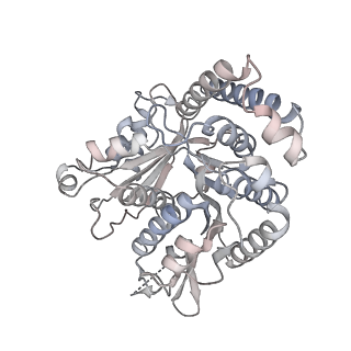40220_8glv_MH_v1-2
96-nm repeat unit of doublet microtubules from Chlamydomonas reinhardtii flagella