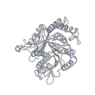 40220_8glv_MI_v1-2
96-nm repeat unit of doublet microtubules from Chlamydomonas reinhardtii flagella