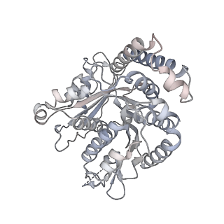 40220_8glv_MJ_v1-2
96-nm repeat unit of doublet microtubules from Chlamydomonas reinhardtii flagella