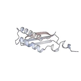 40220_8glv_MK_v1-2
96-nm repeat unit of doublet microtubules from Chlamydomonas reinhardtii flagella