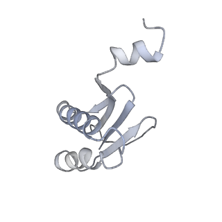 40220_8glv_ML_v1-2
96-nm repeat unit of doublet microtubules from Chlamydomonas reinhardtii flagella