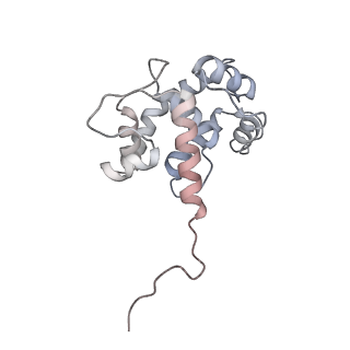 40220_8glv_MO_v1-2
96-nm repeat unit of doublet microtubules from Chlamydomonas reinhardtii flagella