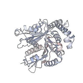 40220_8glv_MS_v1-2
96-nm repeat unit of doublet microtubules from Chlamydomonas reinhardtii flagella