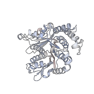 40220_8glv_MT_v1-2
96-nm repeat unit of doublet microtubules from Chlamydomonas reinhardtii flagella