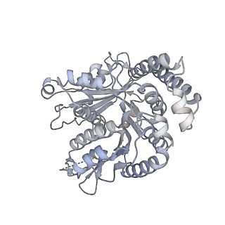 40220_8glv_MU_v1-2
96-nm repeat unit of doublet microtubules from Chlamydomonas reinhardtii flagella