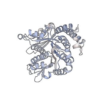 40220_8glv_MV_v1-2
96-nm repeat unit of doublet microtubules from Chlamydomonas reinhardtii flagella