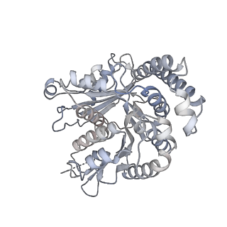 40220_8glv_MW_v1-2
96-nm repeat unit of doublet microtubules from Chlamydomonas reinhardtii flagella