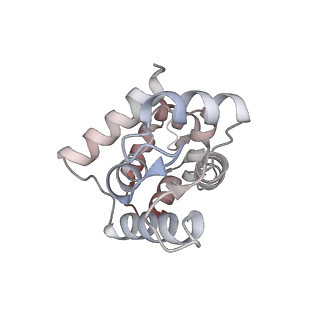 40220_8glv_Md_v1-2
96-nm repeat unit of doublet microtubules from Chlamydomonas reinhardtii flagella
