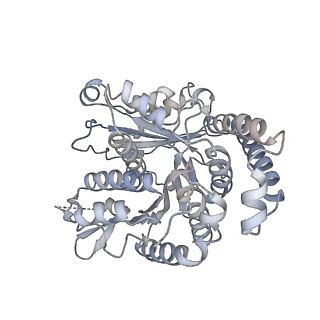 40220_8glv_Mf_v1-2
96-nm repeat unit of doublet microtubules from Chlamydomonas reinhardtii flagella