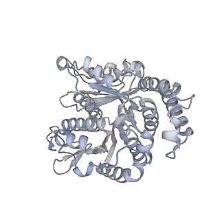 40220_8glv_Mg_v1-2
96-nm repeat unit of doublet microtubules from Chlamydomonas reinhardtii flagella