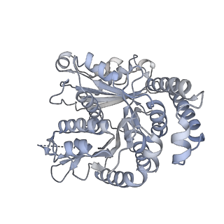 40220_8glv_Mh_v1-2
96-nm repeat unit of doublet microtubules from Chlamydomonas reinhardtii flagella