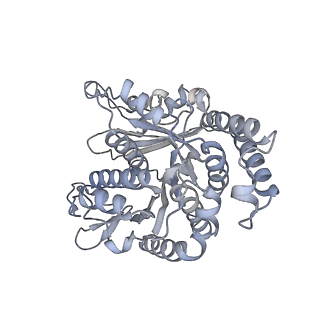 40220_8glv_Mi_v1-2
96-nm repeat unit of doublet microtubules from Chlamydomonas reinhardtii flagella