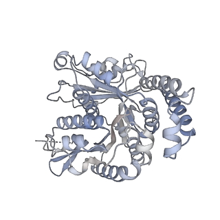 40220_8glv_Mj_v1-2
96-nm repeat unit of doublet microtubules from Chlamydomonas reinhardtii flagella