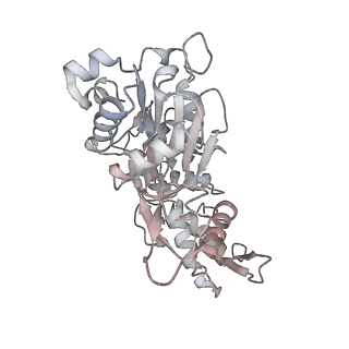 40220_8glv_Mk_v1-2
96-nm repeat unit of doublet microtubules from Chlamydomonas reinhardtii flagella