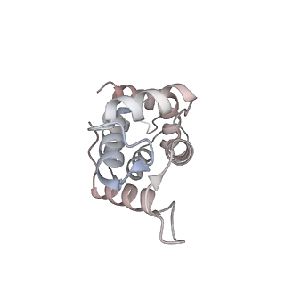 40220_8glv_Ml_v1-2
96-nm repeat unit of doublet microtubules from Chlamydomonas reinhardtii flagella
