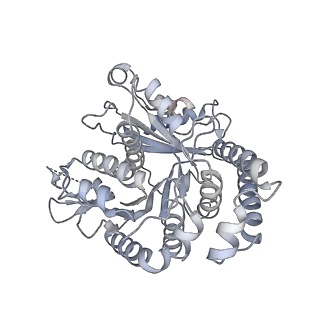 40220_8glv_Ms_v1-2
96-nm repeat unit of doublet microtubules from Chlamydomonas reinhardtii flagella