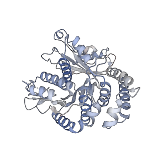 40220_8glv_Mu_v1-2
96-nm repeat unit of doublet microtubules from Chlamydomonas reinhardtii flagella