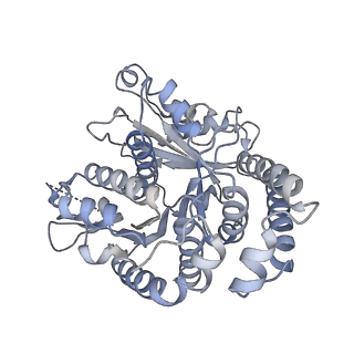 40220_8glv_Mw_v1-2
96-nm repeat unit of doublet microtubules from Chlamydomonas reinhardtii flagella