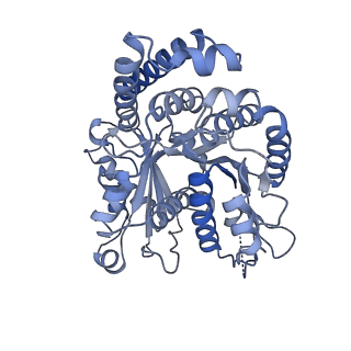 40220_8glv_N1_v1-2
96-nm repeat unit of doublet microtubules from Chlamydomonas reinhardtii flagella