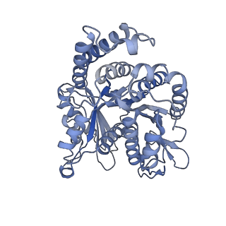 40220_8glv_N2_v1-2
96-nm repeat unit of doublet microtubules from Chlamydomonas reinhardtii flagella