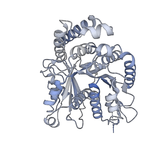 40220_8glv_N3_v1-2
96-nm repeat unit of doublet microtubules from Chlamydomonas reinhardtii flagella