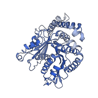 40220_8glv_N5_v1-2
96-nm repeat unit of doublet microtubules from Chlamydomonas reinhardtii flagella