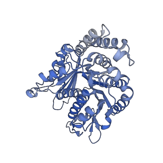 40220_8glv_N6_v1-2
96-nm repeat unit of doublet microtubules from Chlamydomonas reinhardtii flagella