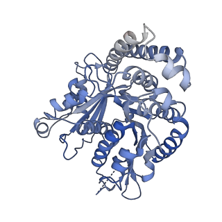 40220_8glv_N7_v1-2
96-nm repeat unit of doublet microtubules from Chlamydomonas reinhardtii flagella