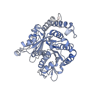 40220_8glv_N8_v1-2
96-nm repeat unit of doublet microtubules from Chlamydomonas reinhardtii flagella