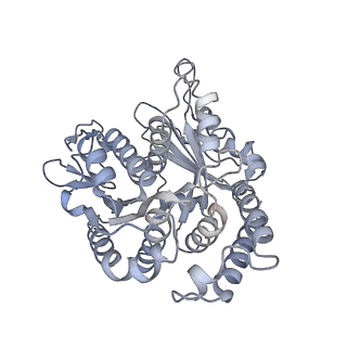 40220_8glv_NF_v1-2
96-nm repeat unit of doublet microtubules from Chlamydomonas reinhardtii flagella
