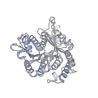 40220_8glv_NH_v1-2
96-nm repeat unit of doublet microtubules from Chlamydomonas reinhardtii flagella
