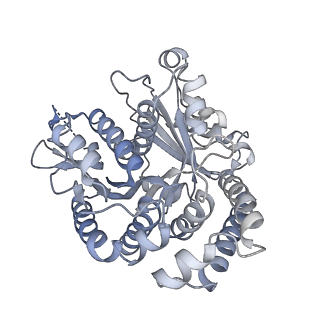 40220_8glv_NI_v1-2
96-nm repeat unit of doublet microtubules from Chlamydomonas reinhardtii flagella