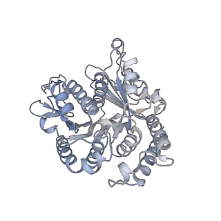 40220_8glv_NJ_v1-2
96-nm repeat unit of doublet microtubules from Chlamydomonas reinhardtii flagella