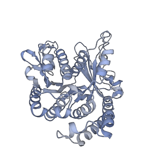 40220_8glv_NS_v1-2
96-nm repeat unit of doublet microtubules from Chlamydomonas reinhardtii flagella