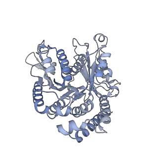 40220_8glv_NT_v1-2
96-nm repeat unit of doublet microtubules from Chlamydomonas reinhardtii flagella