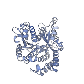 40220_8glv_NU_v1-2
96-nm repeat unit of doublet microtubules from Chlamydomonas reinhardtii flagella