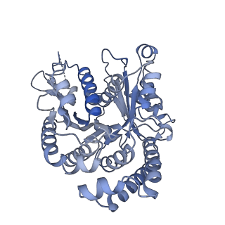 40220_8glv_NV_v1-2
96-nm repeat unit of doublet microtubules from Chlamydomonas reinhardtii flagella
