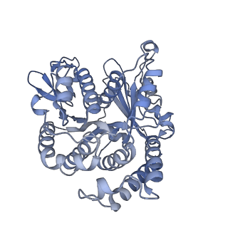 40220_8glv_NW_v1-2
96-nm repeat unit of doublet microtubules from Chlamydomonas reinhardtii flagella