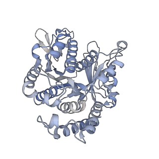 40220_8glv_Nf_v1-2
96-nm repeat unit of doublet microtubules from Chlamydomonas reinhardtii flagella