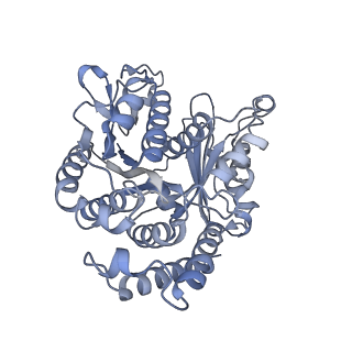 40220_8glv_Nh_v1-2
96-nm repeat unit of doublet microtubules from Chlamydomonas reinhardtii flagella