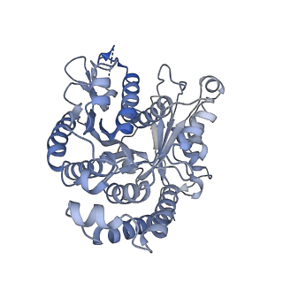 40220_8glv_Ni_v1-2
96-nm repeat unit of doublet microtubules from Chlamydomonas reinhardtii flagella