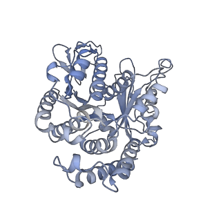 40220_8glv_Nj_v1-2
96-nm repeat unit of doublet microtubules from Chlamydomonas reinhardtii flagella