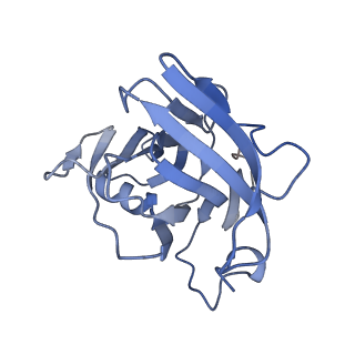 40220_8glv_Ns_v1-2
96-nm repeat unit of doublet microtubules from Chlamydomonas reinhardtii flagella